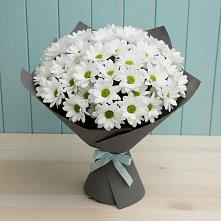 Букет цветов из:  Хризантемы в Юрла